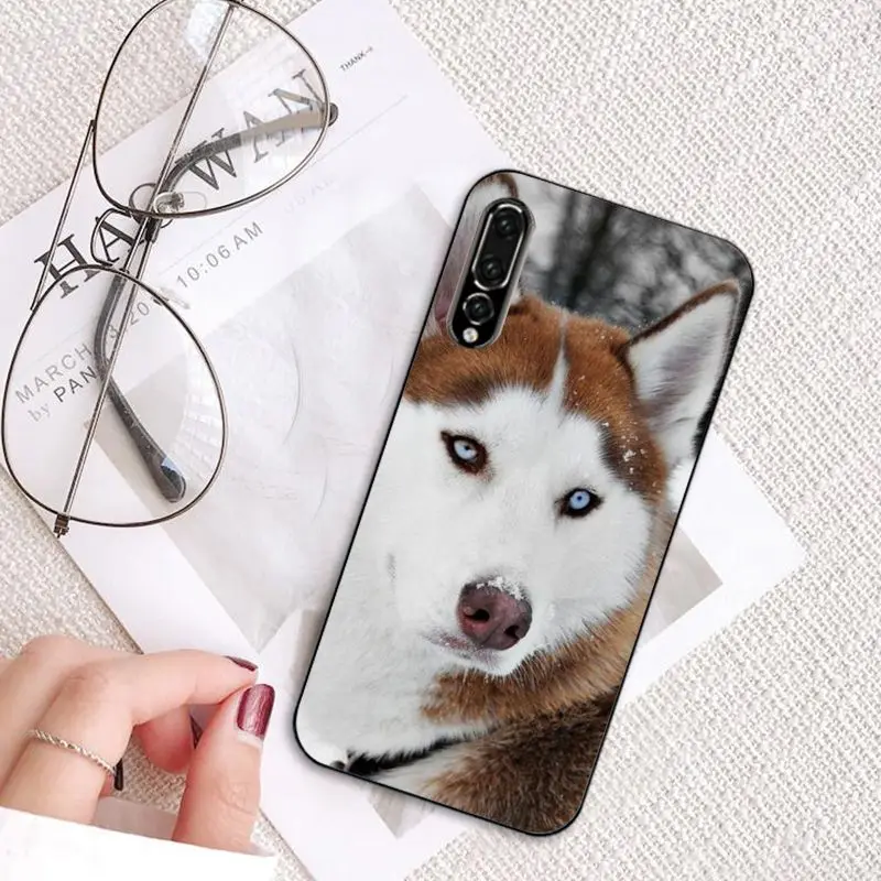 MaiYaCa животных Собака Хаски чехол для телефона для huawei P20 P30 P20Pro P20Lite P30Lite PSmart P10 9Lite - Цвет: A13