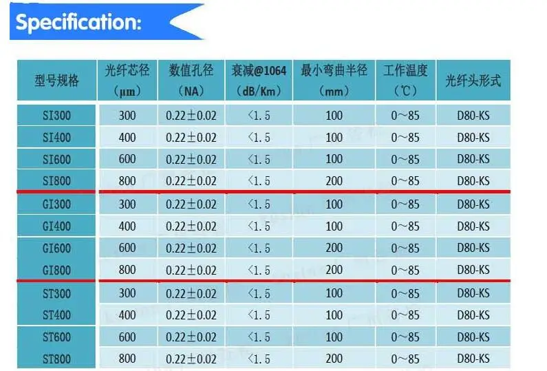 D80 Specs (1)