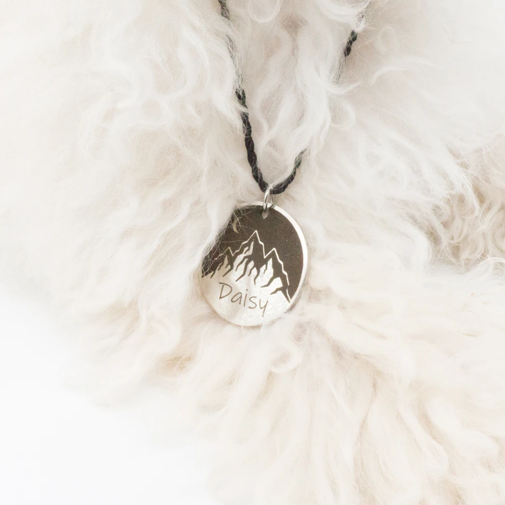Dog ID Tag Engraved Retro Personalized Name ID Tag for Dogs Cats Puppies
