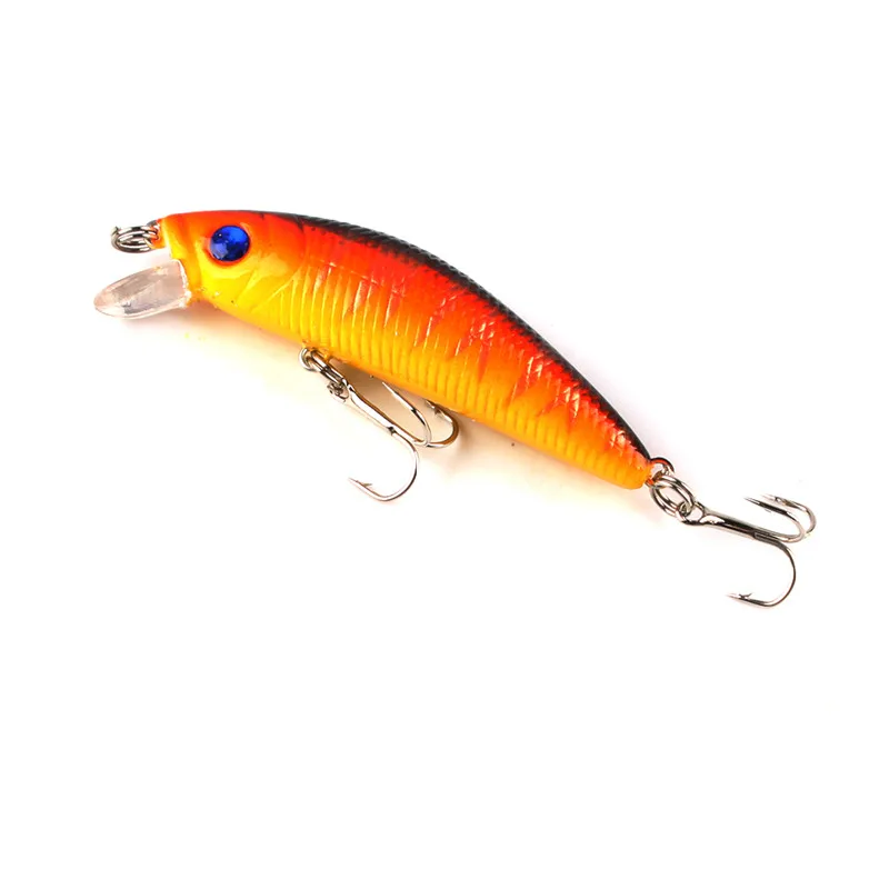 242039_no-logo_IMG_5603