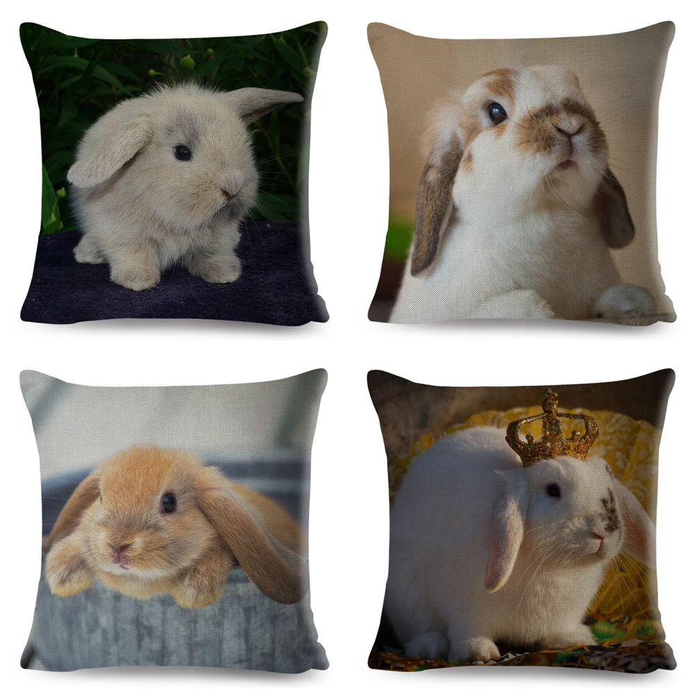 

Cute Rabbit Bunny Cushion Cover for Sofa Car Home Decor Pet Animal Hare Pillow Case Polyester 45x45CM Pillowcase