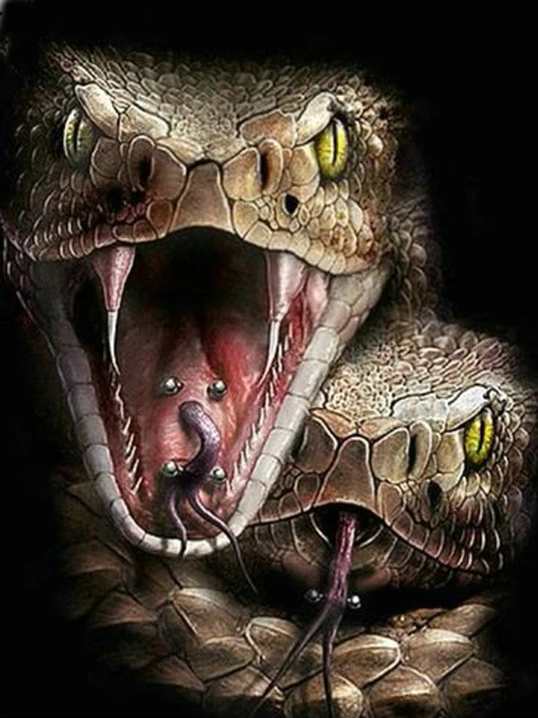 ad0402a75ccbb2a6e17e0d065c7f9779