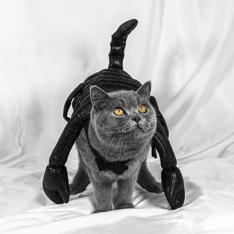 

Pet Halloween Cosplay Costume Scorpion Design, Fun Party Costume For Small And Medium Dogs#8