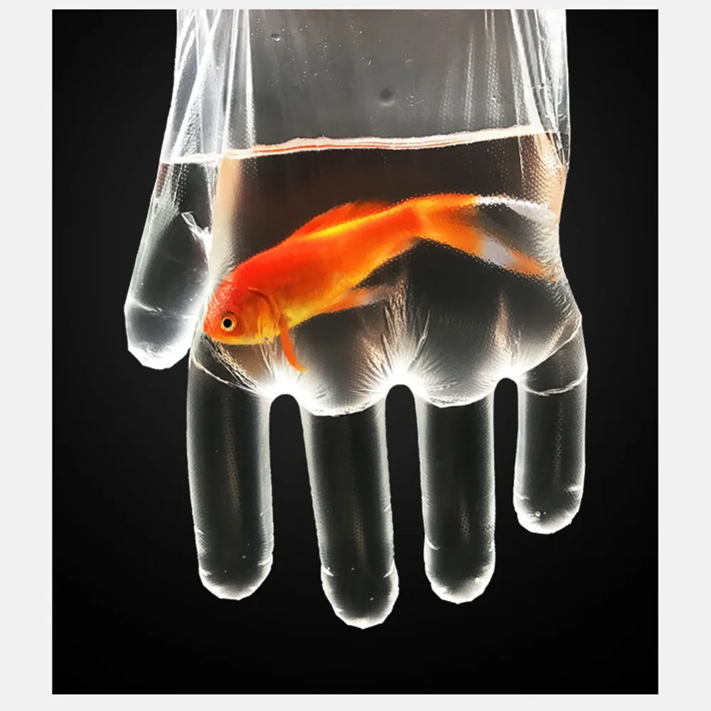 311421_no-logo_311421-1-09-g