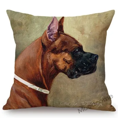 conew_n387 (42) 副本