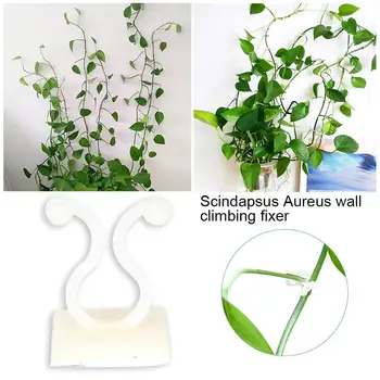 

100PCS Garden Vegetable Plant Support Binding Clip Vine Plant Climbing Wall Fixer Non-marking Self-adhesive Hook Gardening Tool