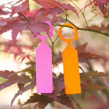 

10 pcs Plastic Bonsai Hanging Tag For Nursery Planter Plant Notice Markers Garden Labels Plate Supplies Waterproof Seedl