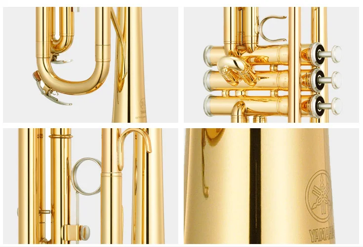 QQ图片20200224152533