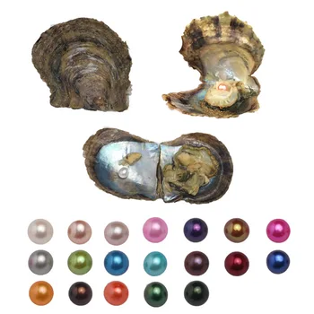 

10Pcs Natural Cultured Love Wish Pearl Oyster With 7-8mm Rounds Pearls Akoya Pearl Oysters as Birthday Gifts (Random Color)