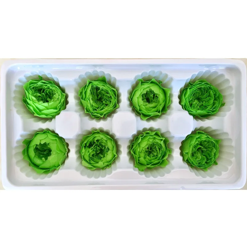 Green 1 коробка высокого качества вечный цветок Роза Остина диаметр цветка 4-5 см класса А с лакированным вечные цветы материал для изготовления подарочной коробки - Цвет: Green