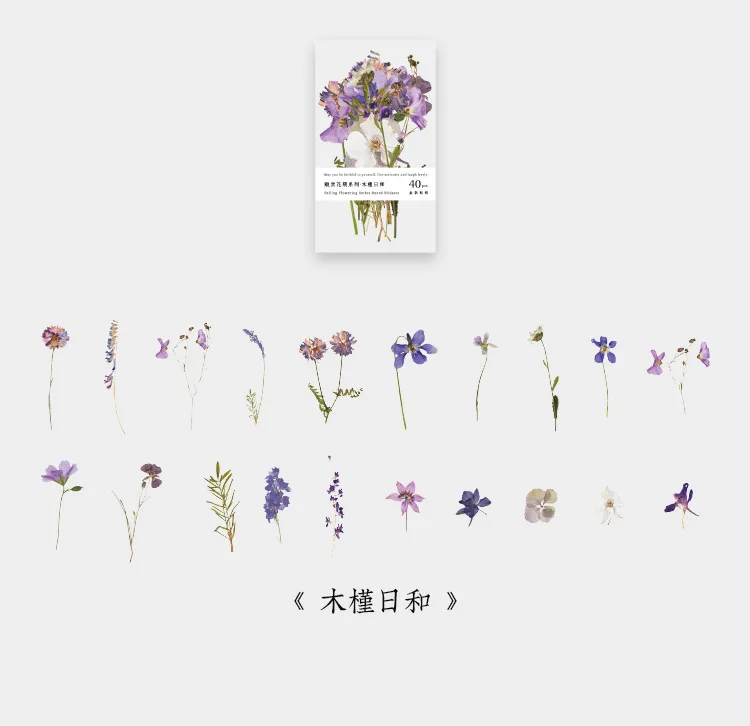 Hb1fc74c7f43e4771a638a88a66bccc4cY