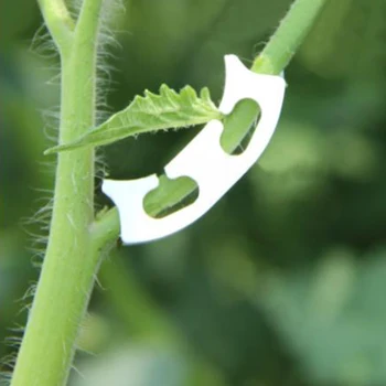 

50 PCSTomato Stem Support Clips Plant Garden Fixing Clips Anti-Bending Vegetable Tomato Fruit Branches Strengthen Fixed Clip 202