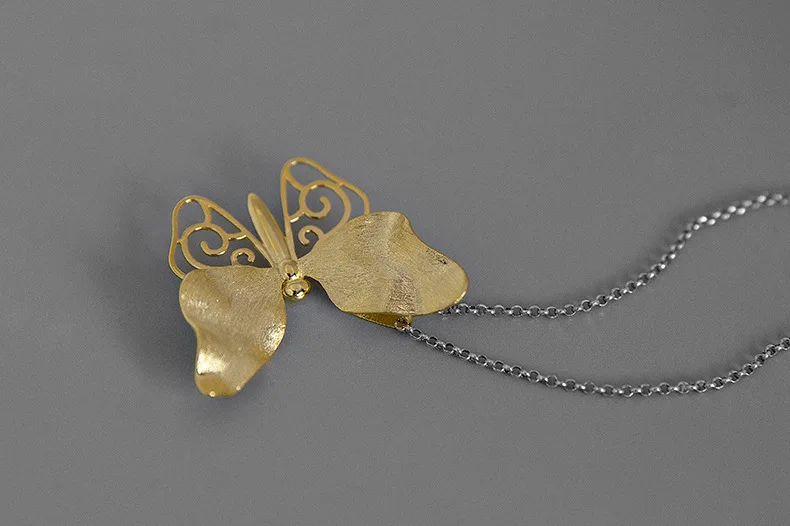 12563981314_886284137