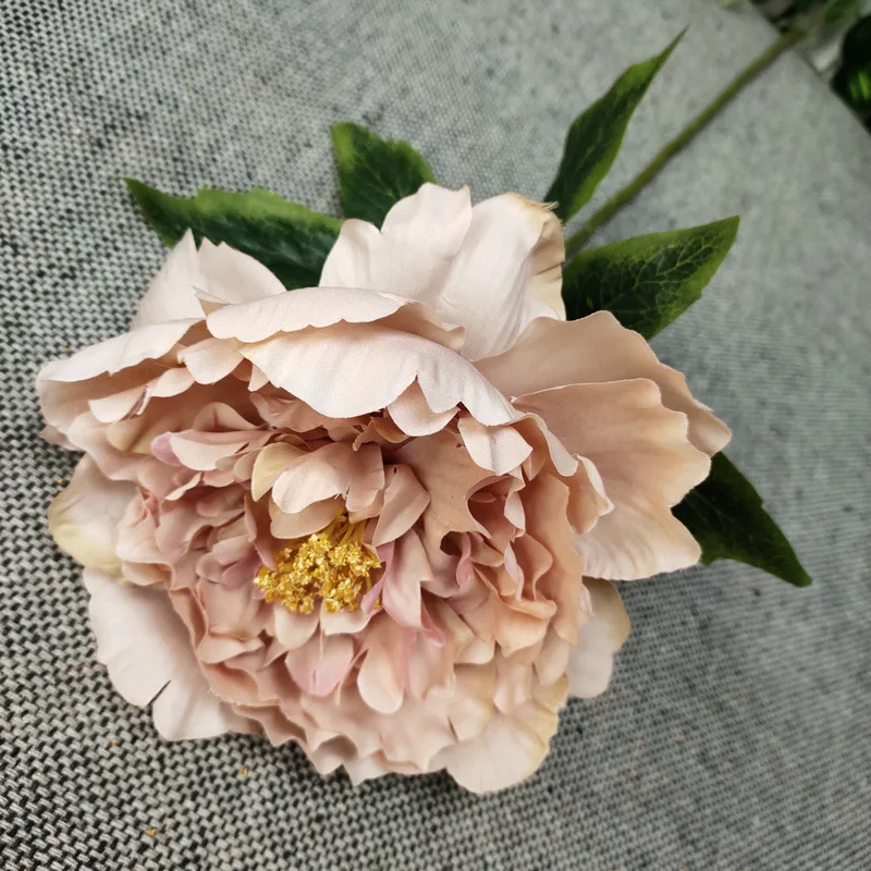 17724887004_1611482457