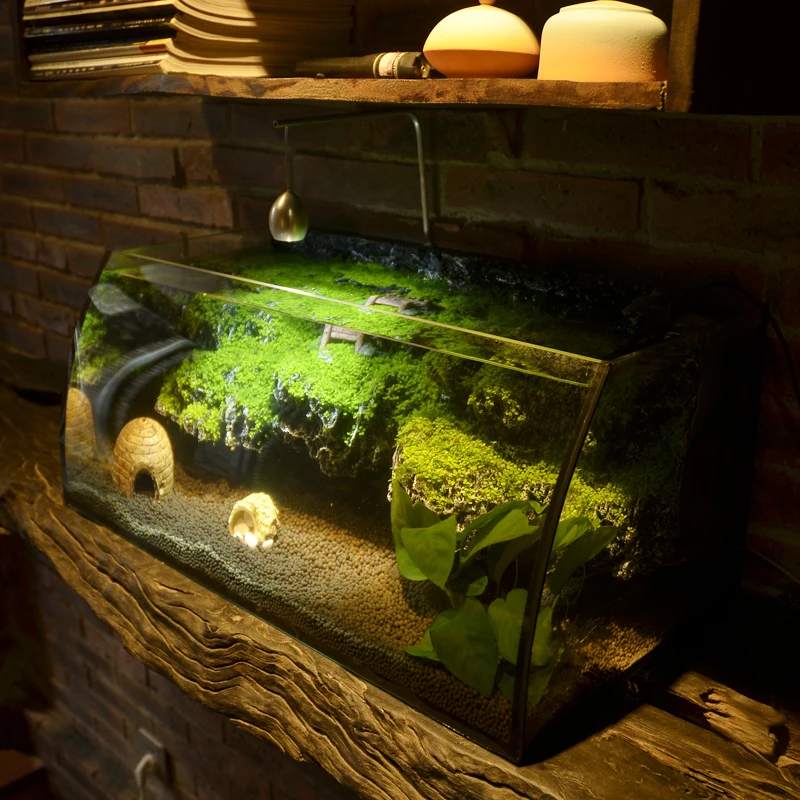 Small Aquarium Mini Creative Desktop Living Room Home Transparent small aquarium mini creative desktop living room home transparent glass goldfish tropical fish tank turtle tank amphibious tank