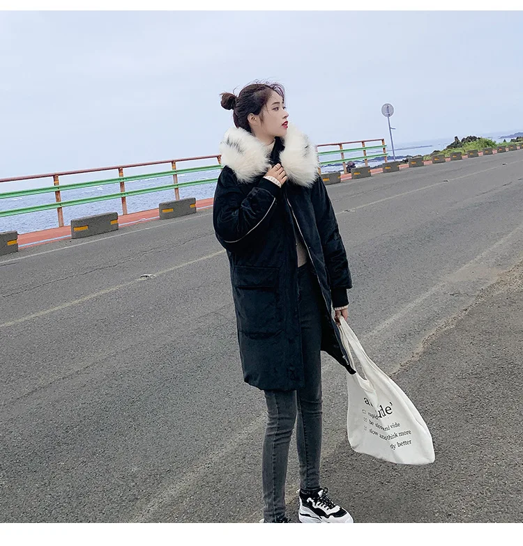  pleuche cotton1_15.jpg