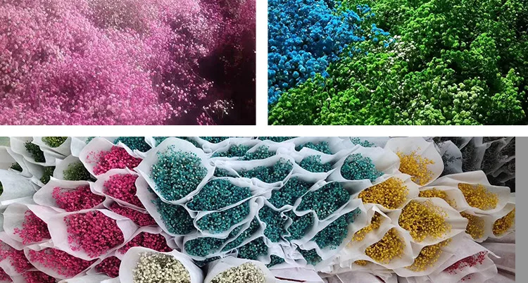 Natural Fresh Dried Preserved Flowers Gypsophila Paniculata,Baby's Breath Flower Bouquets Gift for Wedding Decoration,Valentines Natural Fresh Dried Preserved Flowers Gypsophila Paniculata,Baby's Breath Flower Bouquets Gift for Wedding Decoration,Valentines