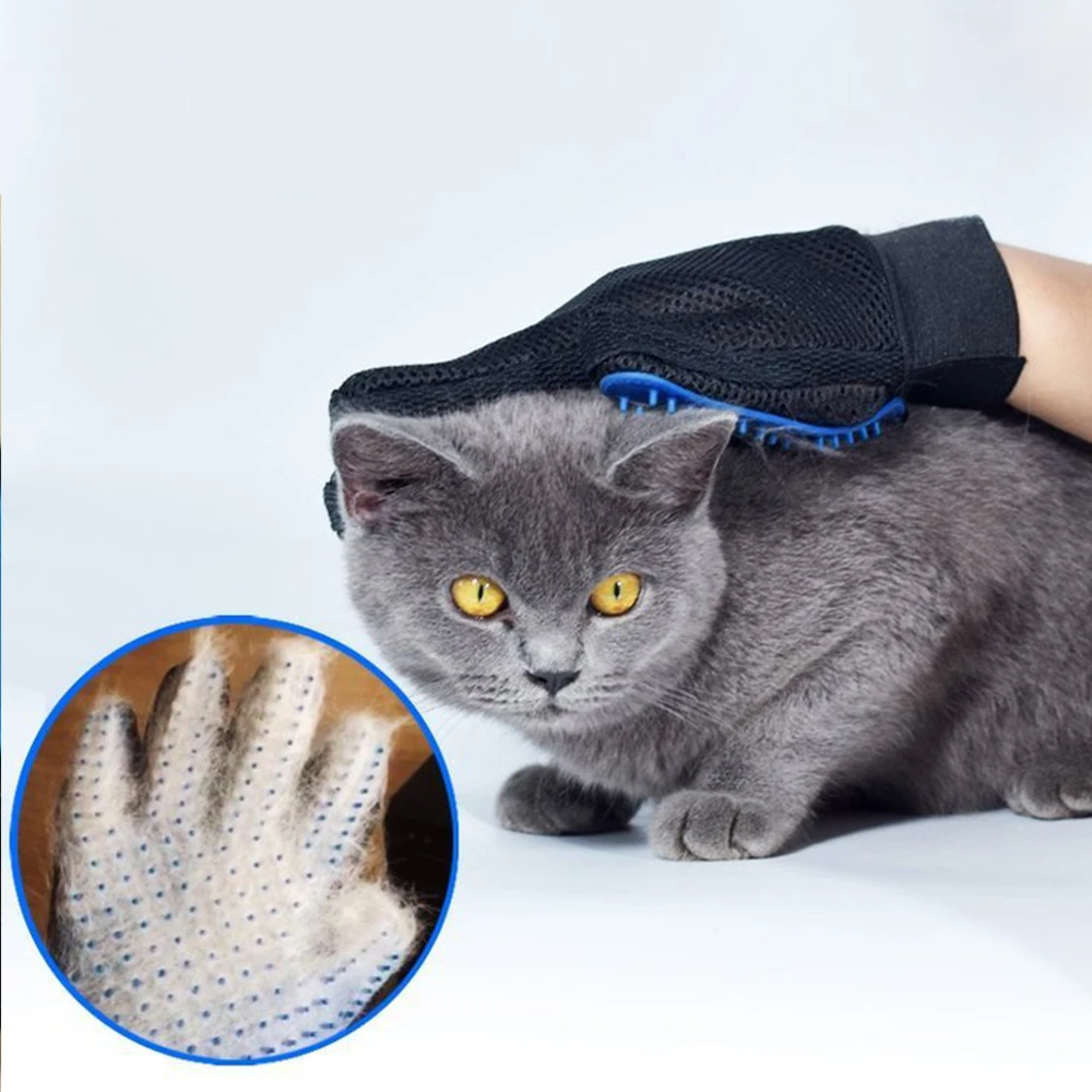 c6d97a0f2ce386853f54b9131e78f29