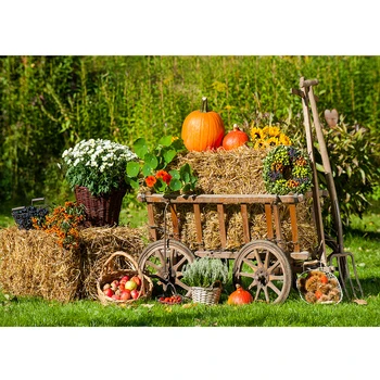 

Photography Background Pumpkins Haystack Harvest Season Holidays Farm Autumn Festival Celebration Activity Kids Photo Props