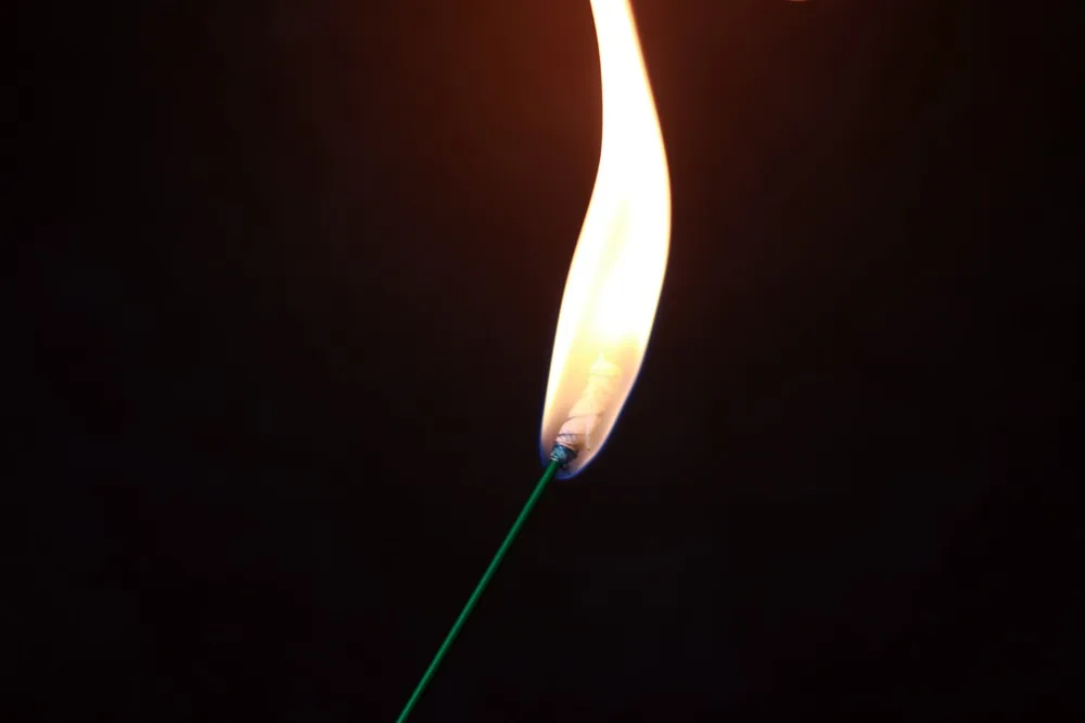 火把玫瑰 (2)