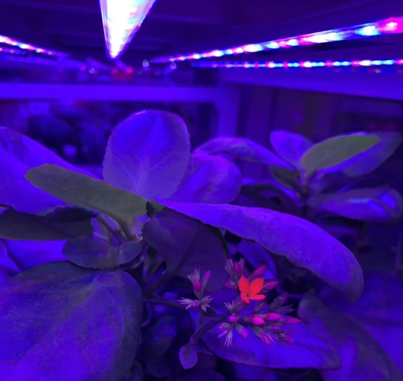 mmexport1561005941974