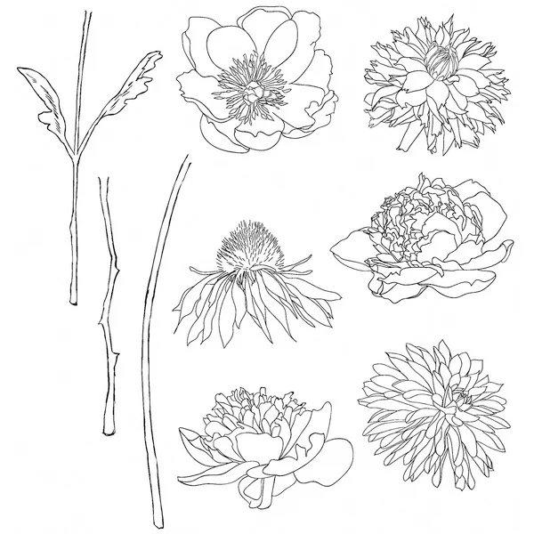 chrysanthemum Transparent Clear Stamps / Silicone Seals for DIY scrapbooking photo album/Card Making | Канцтовары для офиса и