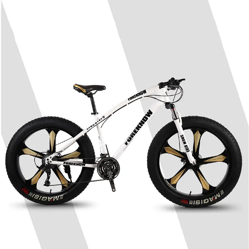 Mountain Bike Mountain Cross Country Beach Snowmobile Adult Wide Tire Leisure Scooter Speed Male and Female Students Bicycle