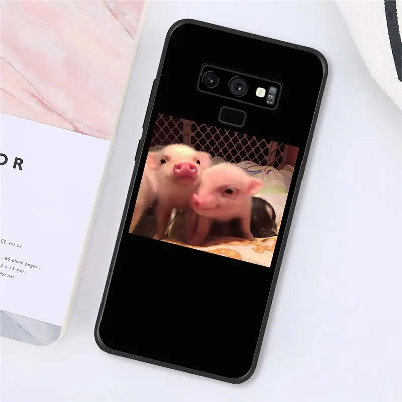 Cute Little Pink Pet Pig