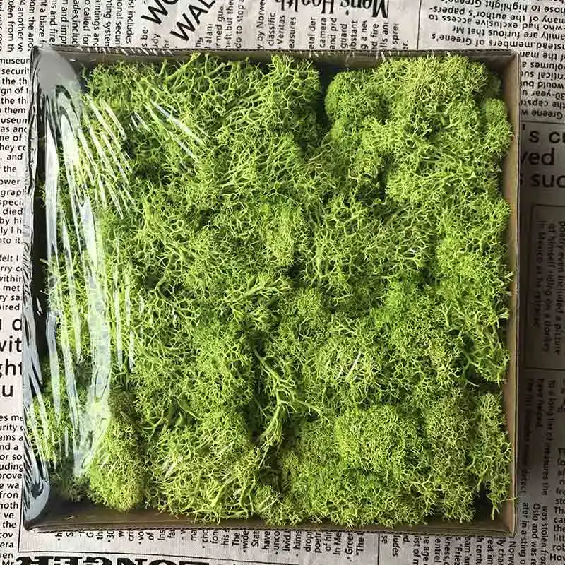 200g pure green 500 г без консервантов, мох, стойкий, сохраненный, норвежский олень, мох, цветок, настоящее растение для дома, сада, свадьбы, DIY украшения - Цвет: 200g pure green