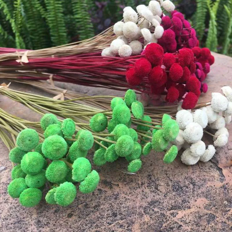 Dried Flowers 36pcs/1cm Head Natural Dried Button Flower,DIY Floral For Wedding Favor Home Party Decore,Single flower gift