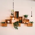 Eutopia Store