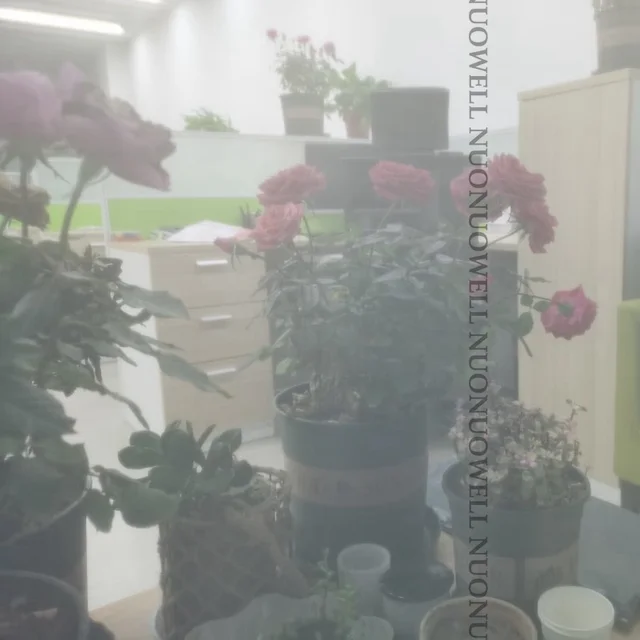 5M Szélesség: 1,27M 80 ~ 400Mesh Nagy Sűrűségű Élelmiszer -Minőségű Nylon Hálóháló -Szűrő Nettó Légtisztító Háló Kártevőirtás - Image 5