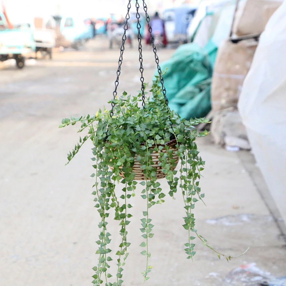Wall Hanging Green Plant Flower Pot Ceramic Planter Box Holder Decoration Props