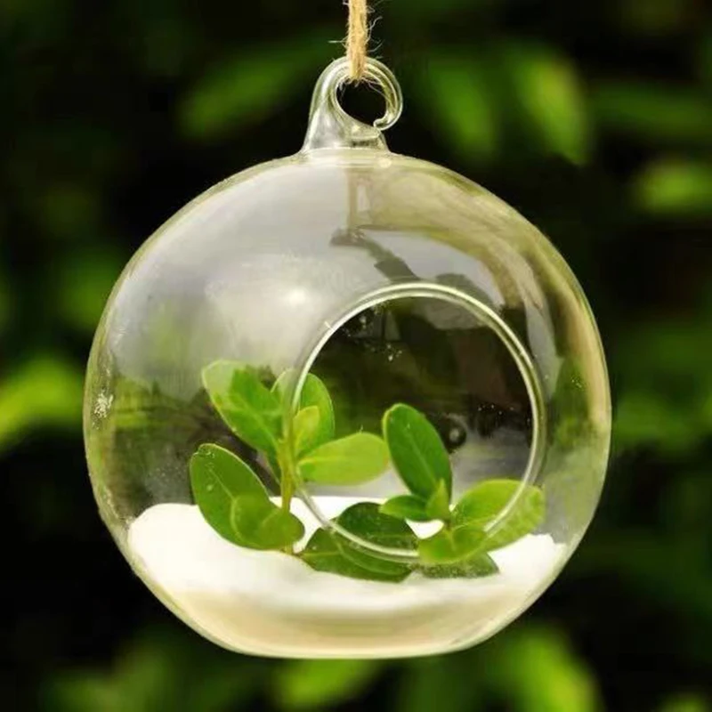 8PCS Transparent Hanging Glass Globe Shape Vase Flower Plant Container Micro Landscape Garden Decoration Pendant 3
