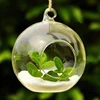 8PCS Transparent Hanging Glass Globe Shape Vase Flower Plant Container Micro Landscape Garden Decoration Pendant 3
