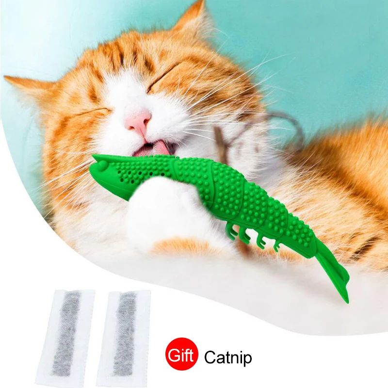 cat chew toys