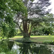 DIY алмазная живопись на заказ пейзаж алмазная живопись
