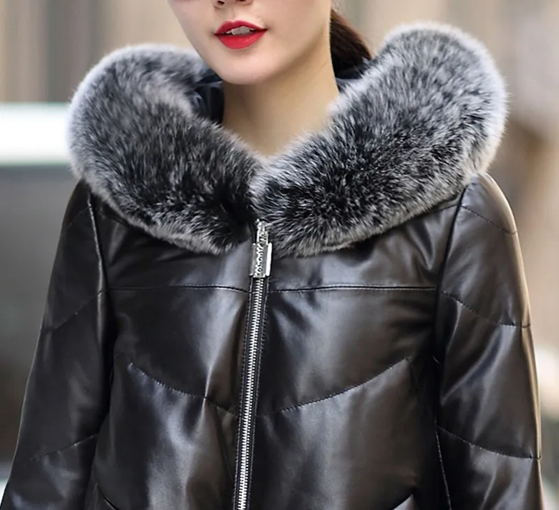 4325538715_1846145073_conew1