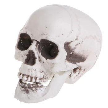 

Plastic Human Mini Skull Decor Prop Skeleton Head Halloween Coffee Bars Ornament