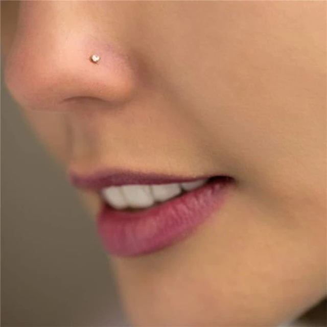 Amazon.com: LOAYHOAY 16Pcs 18G 20G 316L Stainless Steel Threadless Push in Nose  Rings Studs for Women Men Nose Rings Hoop Nose Piercing Jewelry CZ 1.5-3mm  18G Black : Clothing, Shoes & Jewelry