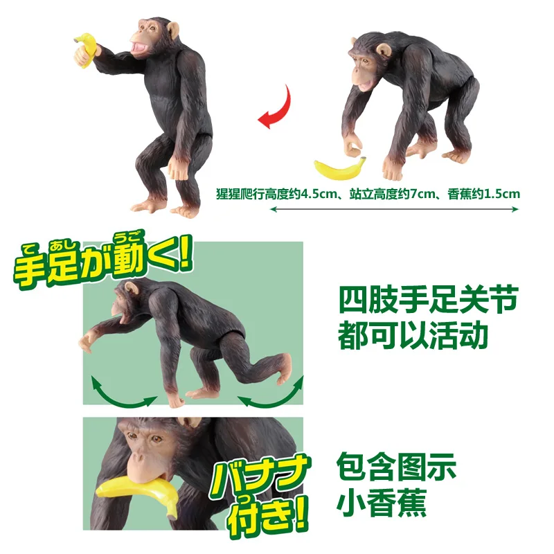 S01 Takara Tomy ANIA Animal Advanture AS-14 Chimpanzee с бананом дикая ABS фигурка детские развивающие игрушки