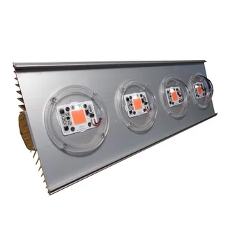 

Fotovitriny RDM-ПОБЕДА N200