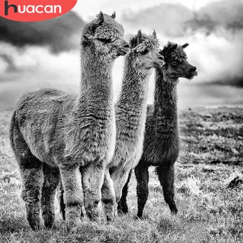 

HUACAN 5D Diamond Painting Alpaca DIY Diamond Art Embroidery Animal Handmade Mosaic Home Decoration