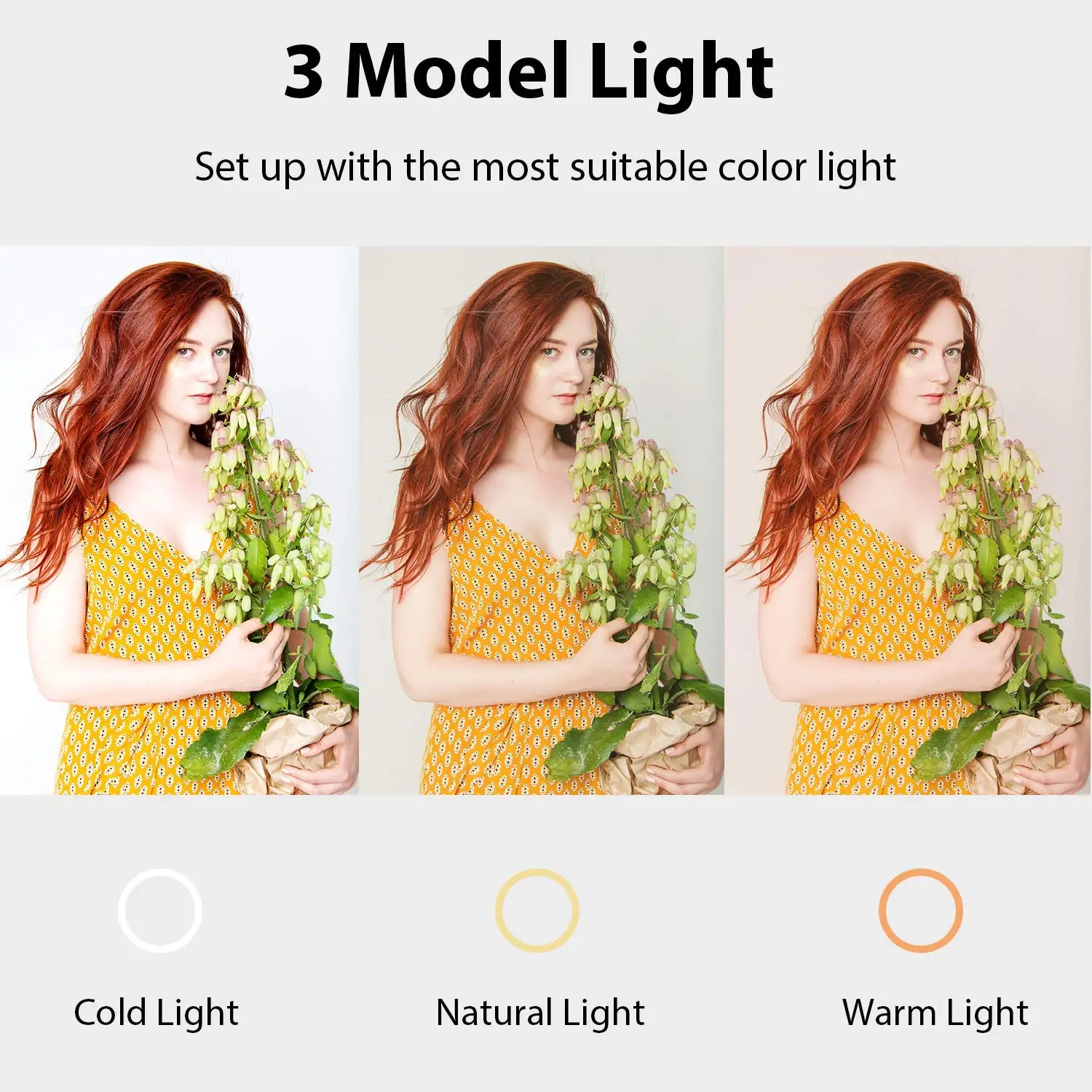Dimmable Wireless Bluetooth 10" LED Ring Light with Stand Camera Selfie Light Phone Tripod Holder for Video Photography Live