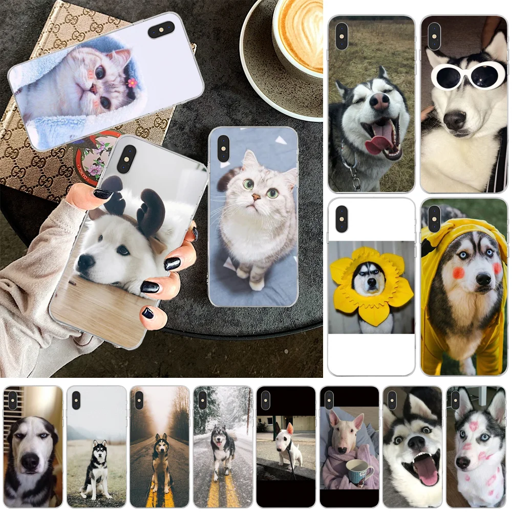 

LJHYDFCNBr cute dog animal Phone Case for iPhone 11 pro XS MAX 8 7 6 6S Plus X 5 5S SE XR cover