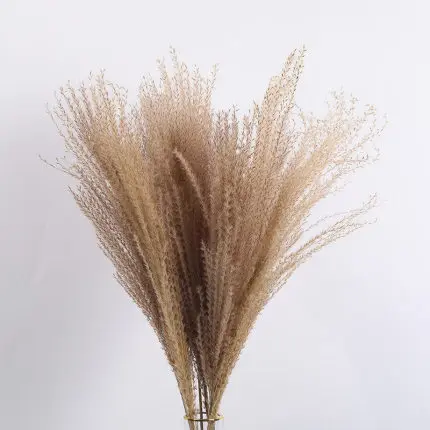 15Pcs Dried Small Pampas Grass Flowers Pantas Artificiales Para Decoracion Real Plants Home Decor Wedding Decoration as chart