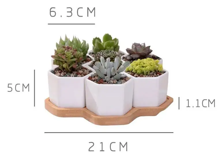 QQ截图20200604091245