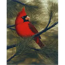 Diy фото на заказ алмазная живопись красный Воробей полностью Квадратный бриллиант, 5D Вышивка бисером вышивка крестом мозаика Дрель Стразы