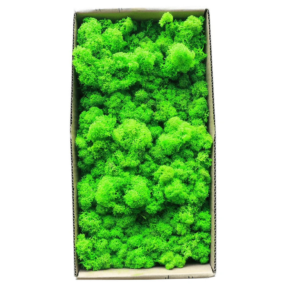Стандартный консервированный олень мох для натуральных поделок цветочные композиции в 11 цветов пенящаяся текстурированная Моха-1 коробка(400 г - Цвет: D6