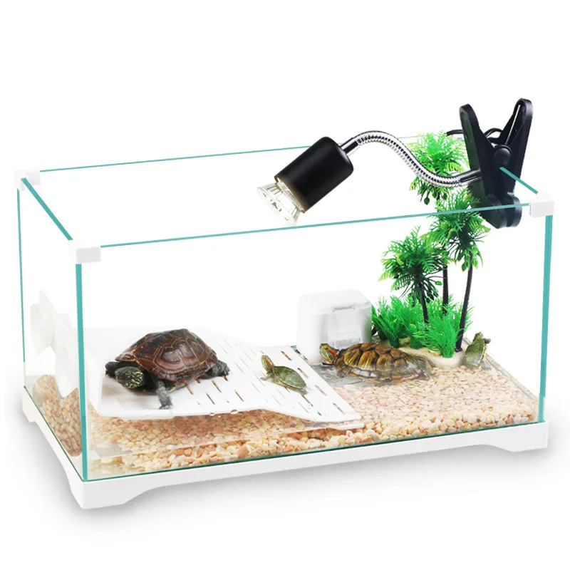 

Turtle Aquarium with Shaitai Shui-lu Cylinder Glass Small Medium Brazilian Turtle Cylinder Support Turtle Tank Raise Turtle Tank